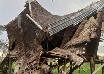 Akibat Derasnya Angin Membuat  Pohon Kelapa Tumbang Dan Hencurkan Salah Satu Rumah Milik Warga.