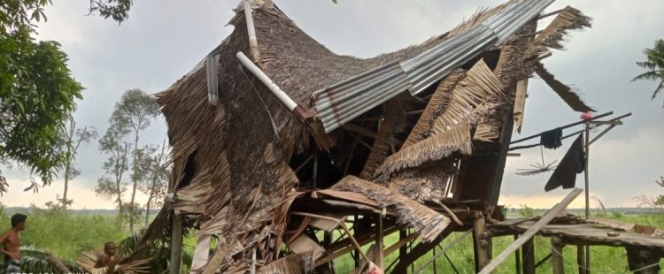 Akibat Derasnya Angin Membuat  Pohon Kelapa Tumbang Dan Hencurkan Salah Satu Rumah Milik Warga.