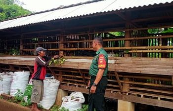 Babinsa Dorong Semangat Peternak Kambing Warga Binaan