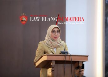 Sukses Menyelenggarakan Pemilu, Fitriany Farhas Apresiasi Kepada Semua Pihak
