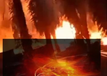 Kembali Lagi Kebakaran di Daerah Keluang Kapolres Muba Harus Bertindak Tegas