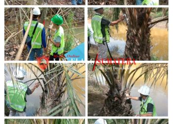 PIHAK PT SBB/PT KPS SIAP MENGGANTI RUGI HAK-HAK MASYARAKAT DESA KALI BERAU YANG TERKENA DAMPAK SESUAI PROSEDUR DAN ATURAN YANG BERLAKU.