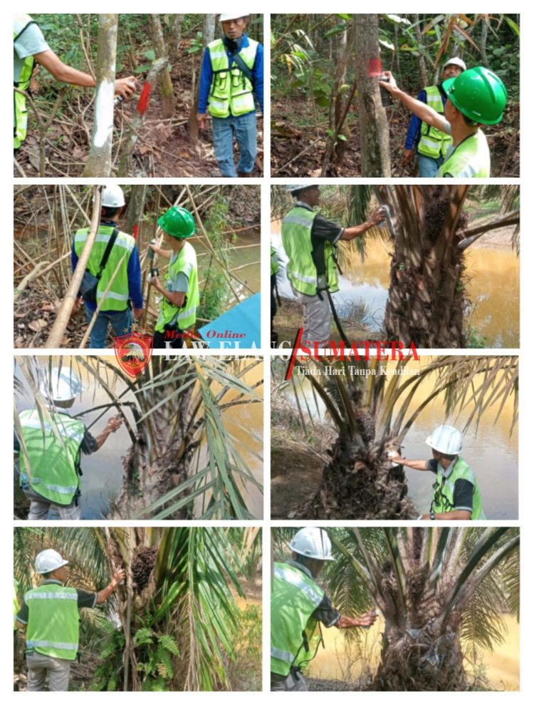 PIHAK PT SBB/PT KPS SIAP MENGGANTI RUGI HAK-HAK MASYARAKAT DESA KALI BERAU YANG TERKENA DAMPAK SESUAI PROSEDUR DAN ATURAN YANG BERLAKU.