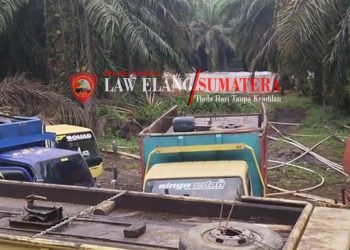 Diduga APH Tebang pilih Menimbulkan keresahan di Masyarakat