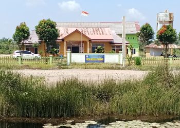 Diduga kades muara padang dalam membagikan tanah dusun baru tidak tepat sasaran dan ada kesan tebang pilih