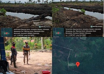Diduga mapia tanah Garap hutan swaka KPH Lalan tidak ada upaya pencegahan