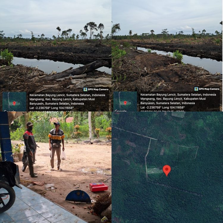 Diduga mapia tanah Garap hutan swaka KPH Lalan tidak ada upaya pencegahan
