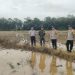 Dukung Program Swasembada Pangan Presiden Prabowo, Polsek Sanga Desa Tinjau Kesiapan 141 Ha Lahan Sawah