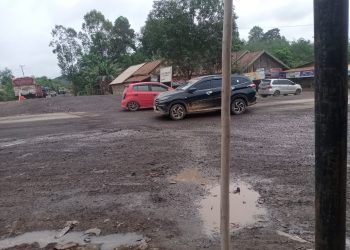 SEKRETARIS PAC GRIBJAYA KECAMATAN BAYUNG LENCIR ANGKAT BICARA TERKAIT DAMPAK LINGKUNGAN HIDUP DARI ANGKUTAN BATU BARA DI WILAYAH KECAMATAN BAYUNG LENCIR
