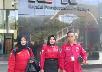 Ketum PWDPI, Nurullah Laporkan BPN Kepri Ke Presiden RI Prabowo