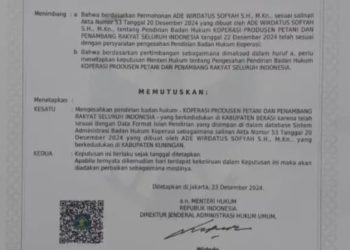 Diduga mengatas nama kan koprasi oknum preman melakukan pungli**