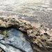 Jalan Cor Beton Kelurahan Tratim Rusak, Di duga Tak Sesuai Spek