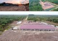 Diduga Sejak Tahun 2009/2023 PT Andira Tidak Memiliki Izin HGU Karna Banyak nya Sangahan Dari Masyarakat Sehingga Izin HGU/Prinsip nya Tidak di Keluarkan