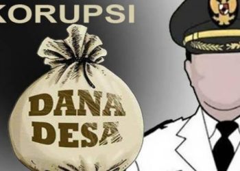 Di Duga Pelayanan Lumpuh, Realisasi DD Purwo Asri Fikti Jadi Ajang Korupsi