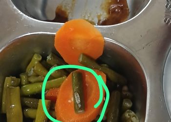 Miris !!! MBG Tak Laik Makan,Siswa SMPN 2 Intan Temukan Ulat dan Sayur Basi