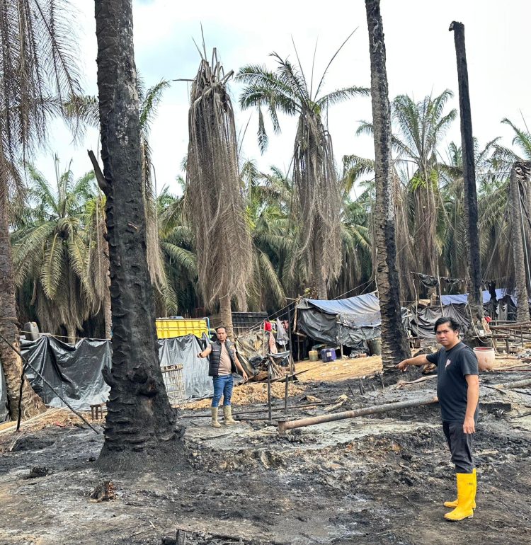 Kebakaran Sumur Minyak Ilegal di Muba, Polisi Bergerak Cepat,Dalami Penyebab dan Cari Pemilik Sumur Tersebut,,